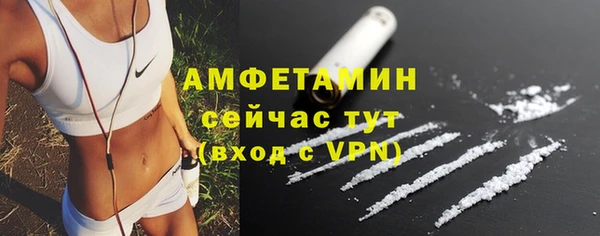 не бодяженный Бородино