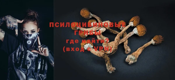 твердый Бугульма
