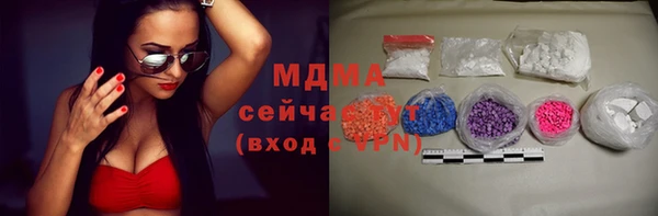 молекула духа Богородицк