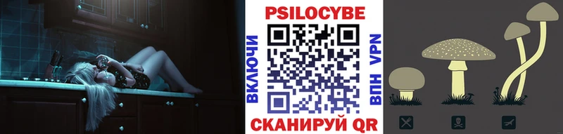 Псилоцибиновые грибы мицелий  Кириллов 